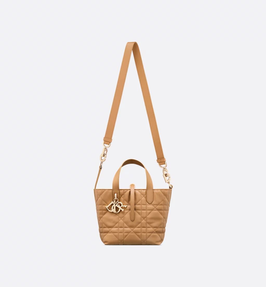 Small Dior Toujours Vertical Tote Bag